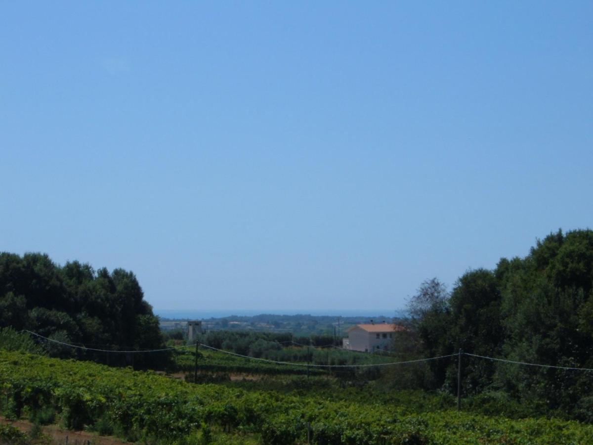 Azienda Agricola Sinisi Cerveteri Habitación foto